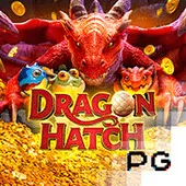 Dragon hatch