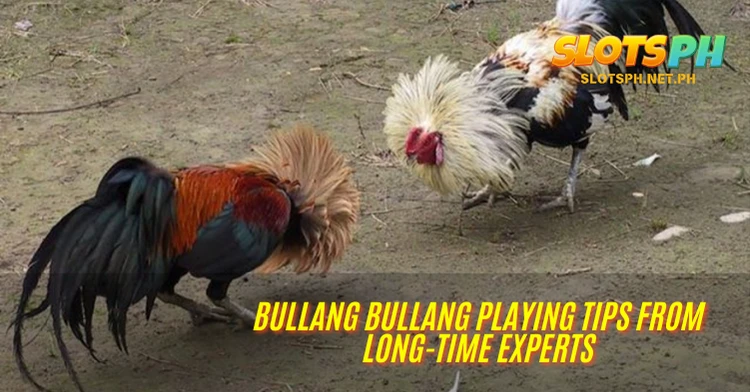 Bullang Bullang Playing Tips from Long-Time Experts